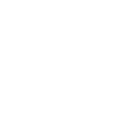 Latest Job