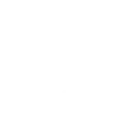 Syllabus
